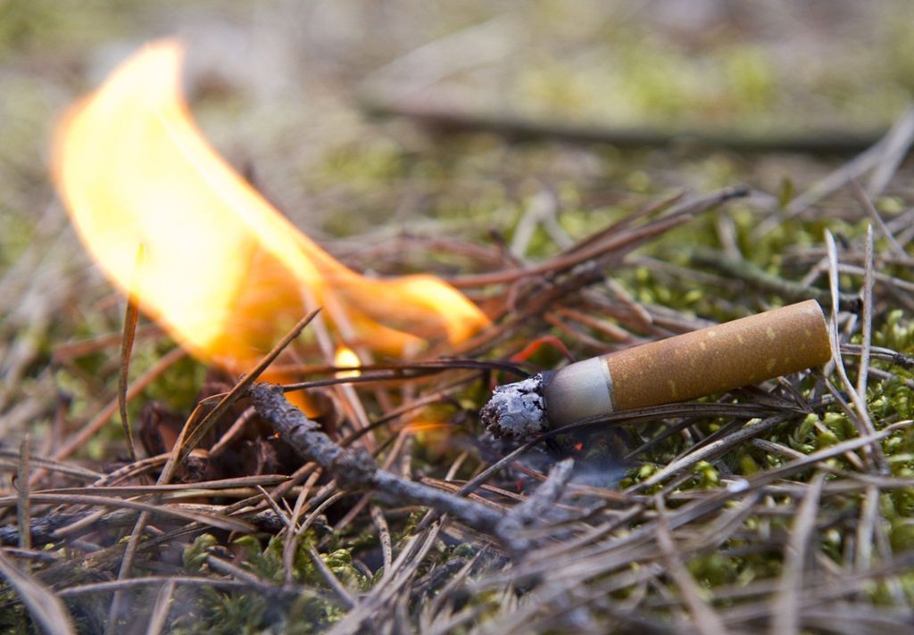 Risiko für Waldbrände steigt in Baden-Württemberg