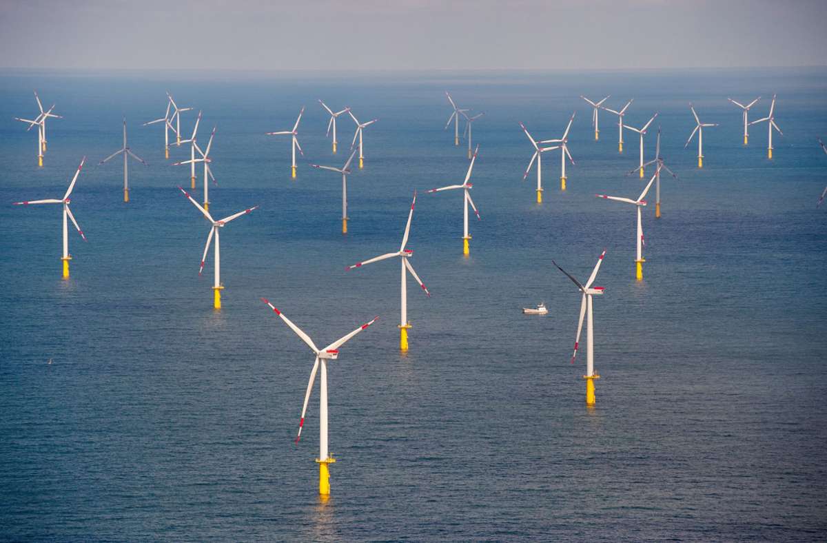 Ausbau alternativer Energien: Heftiger Gegenwind für Öko-Strom aus Frankreich