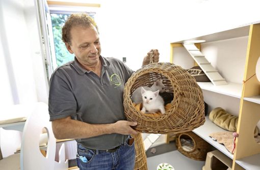Eines der Pensionszimmer für Katzen ist im Tierheim Esslingen bereits belegt, wie sein  Leiter Horst Theilinger demonstriert. Eine Katze und ihr Nachwuchs sind hier untergekommen. Foto: Roberto Bulgrin