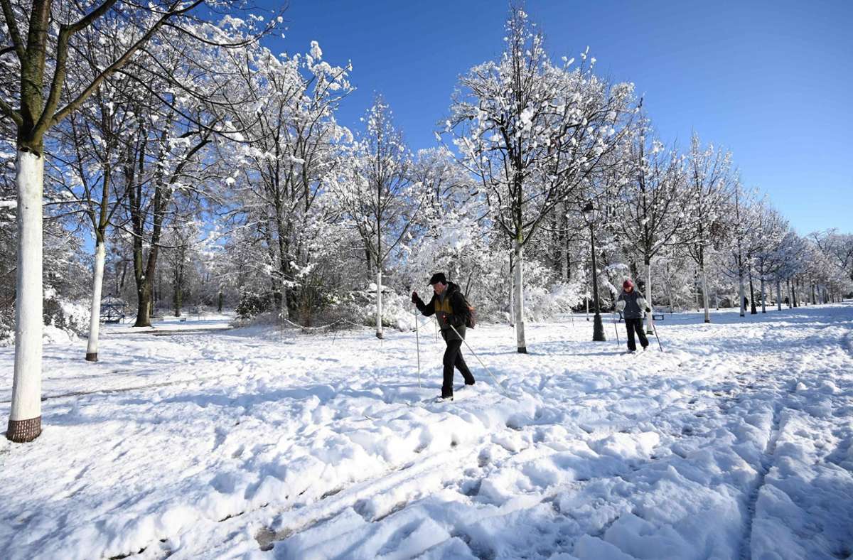 Wintereinbruch in Frankreich: 5000 Haushalte im Elsass nach Schneefällen ohne Strom