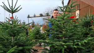 Unbehandelte Weihnachtsbäume stark nachgefragt