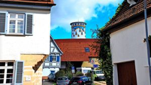 Ortsentwicklung: Lichtenwald will noch attraktiver werden