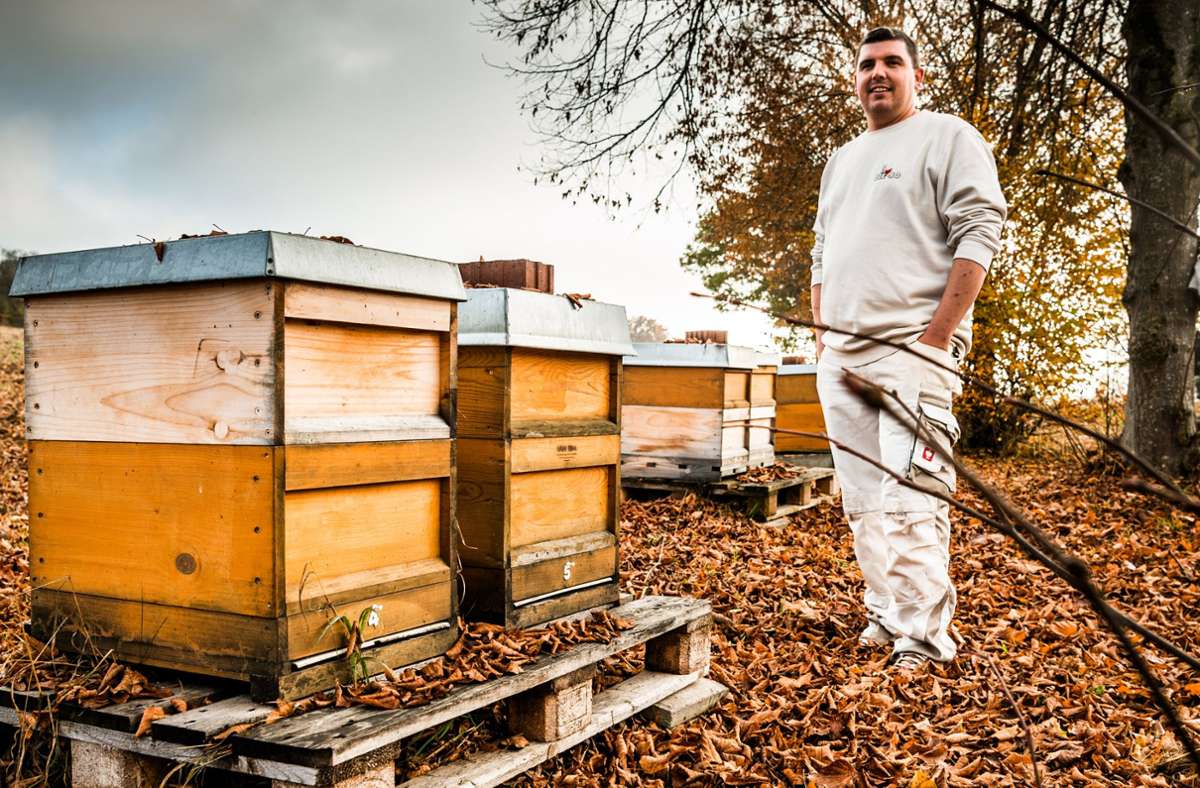 Bienen zum Mieten: Mehr Völker unters Volk