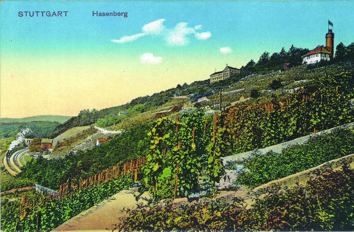 Der Hasenberg unterhalb des Waldhauses und dem Aussichtsturm ist einst ein Weinberg gewesen.