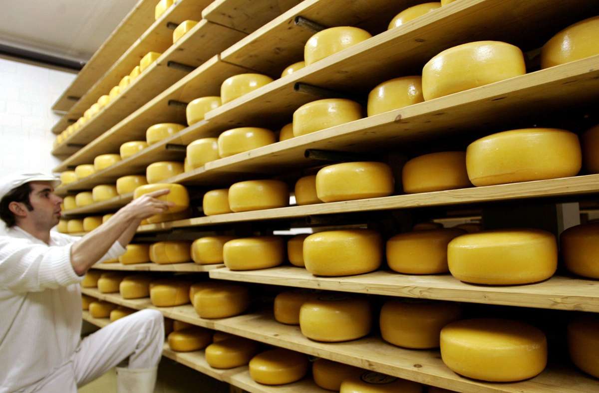 Regionale Produkte im Rems-Murr-Kreis: Was es alles über Käse zu wissen gibt