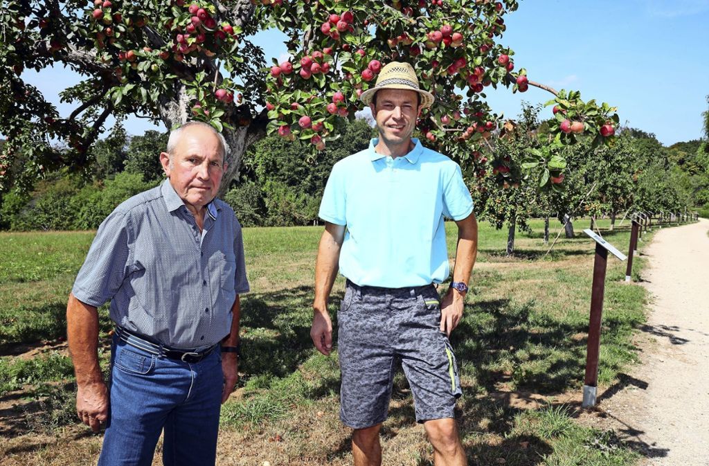Heinz und Alexander Scharpf haben am Ortsrand einen Sortenlehrpfad angelegt – Alte Familientradition: Alte Obstsorten werden in Lobenrot wieder kultiviert