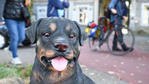 Plastikhund kläfft nach Radfahrern – und wird zum Medienstar