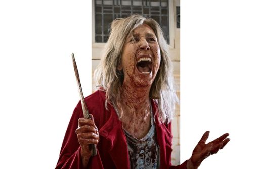 Das Böse ist immer und überall: Faith (Lin Shaye) erlebt blutige Momente im Grusel-Film „The Grudge“. Foto: Sony Pictures -  Sony Pictures