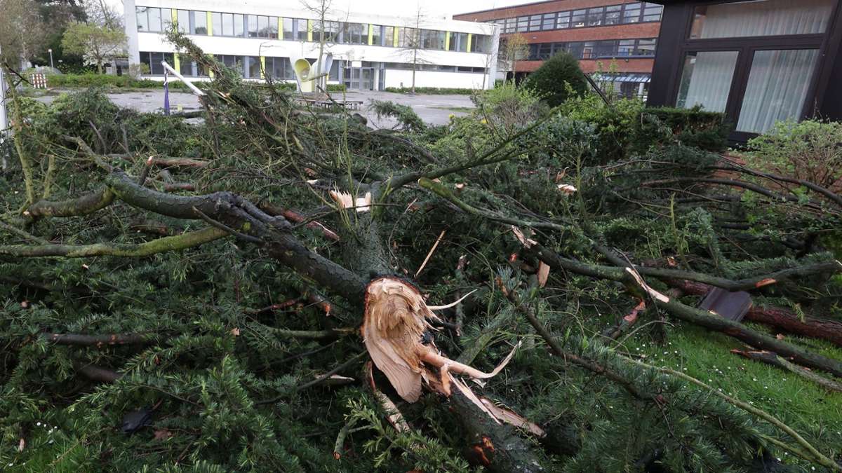 Umgestürzte Bäume auf dem Gelände eines Gymnasiums in Korschenbroich bei Mönchengladbach.
