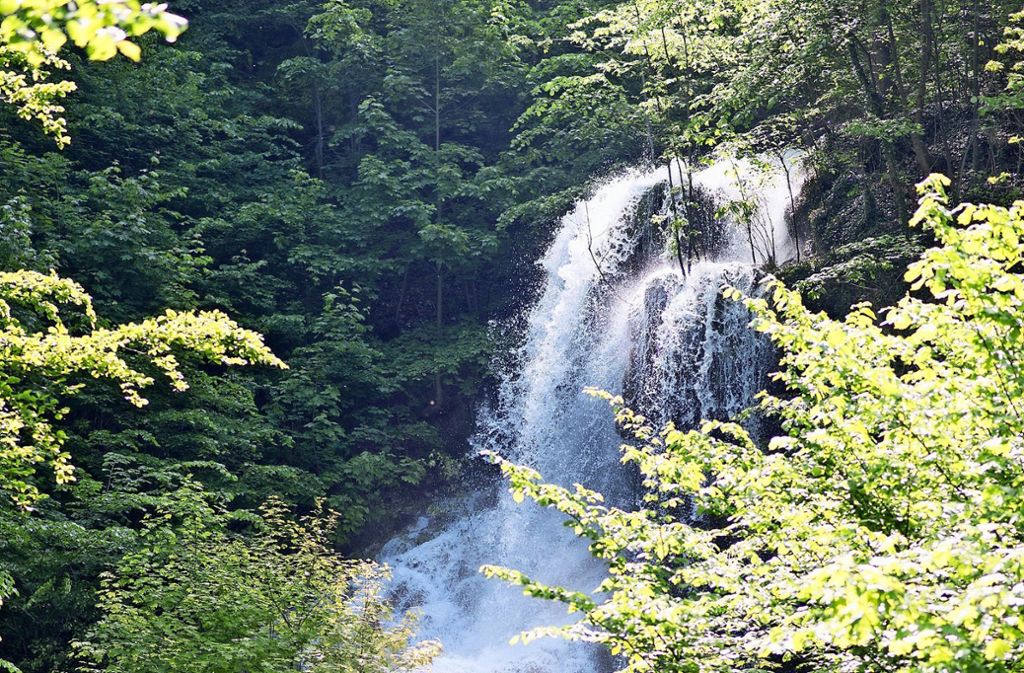 Die Unesco-Auszeichnung hilft vor allem dem Tourismus – Bereits neunte Attraktion im Kreis: Neidlinger Wasserfälle von Unesco ausgezeichnet