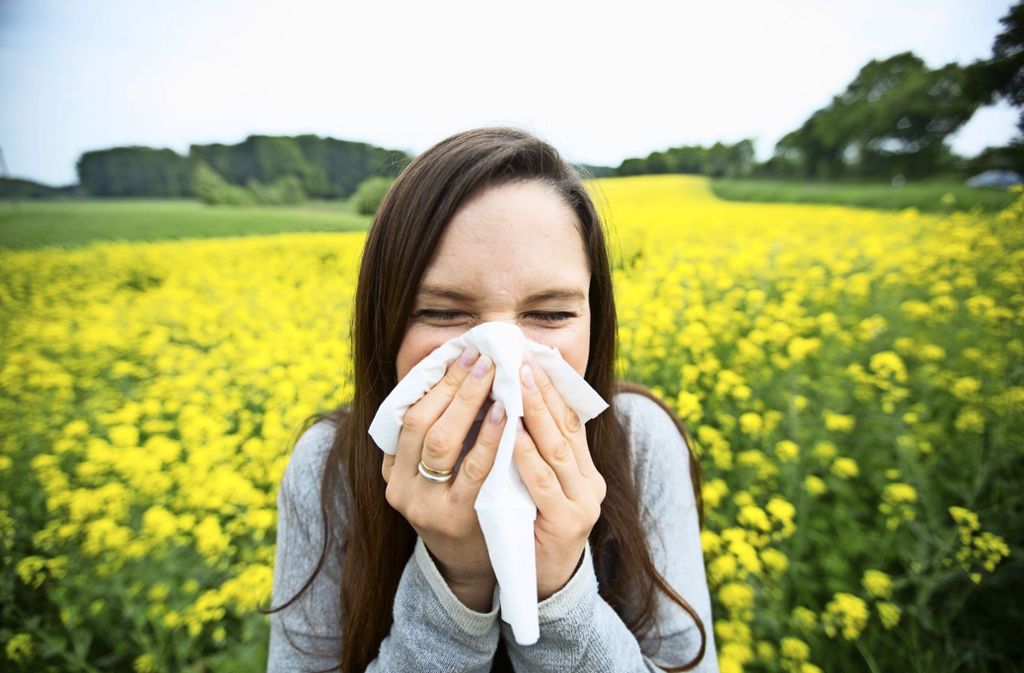 Allergien und Asthma nehmen zu: Heuschnupfen kann Corona-Symptomen ähneln