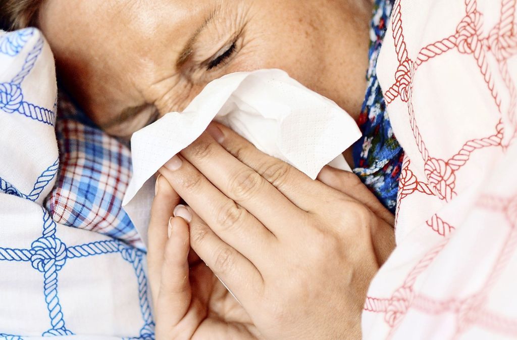 Starke Grippewelle hat im Kreis Esslingen bislang drei Tote gefordert: Grippewelle auf vorläufigem Höhepunkt